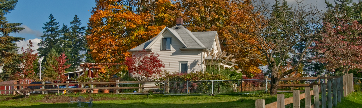 Banner image of Puyallup Escrow